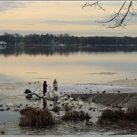 *** :: Aleksandr Gal *** :: Aleksandr Gal