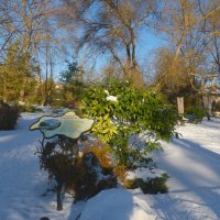 Природа в ботаническом саду :: Валентин Семчишин Природа в ботаническом саду :: Валентин Семчишин