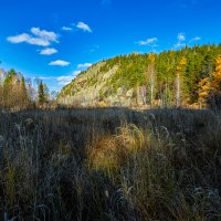 Утро солнечного октября. :: Юрий кот