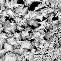 М5 :: Алексей Смирнов