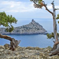 Можжевельник :: Геннадий Валеев