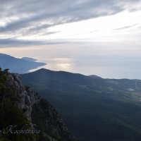 Природа Крыма :: Amazing Cosmea