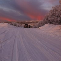 На прогулке... :: Владимир Чикота 