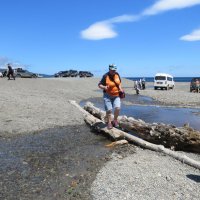 мостики бывают разными :: ИРЭН@ .