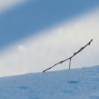 В парке. Мороз. :: Андрей Андрианов В парке. Мороз. :: Андрей Андрианов