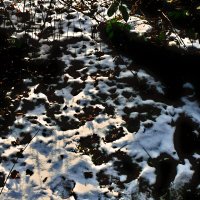 Южная зима - 11 :: Алексей Кузнецов