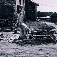 трудница :: Олег Загорулько