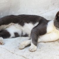 Красотка :: Натали 