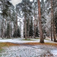 Первый снежок. :: Лилия *