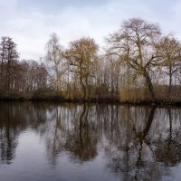 *** :: Николай Гирш