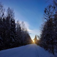 зима, Бокситогорский район :: Laryan1 