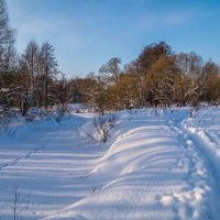 Морозное утро :: Андрей Дворников