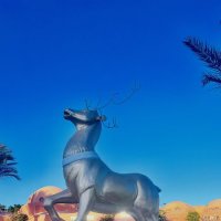 El Gouna :: Aлёна V