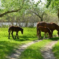 Мои дороги. :: Виктор 