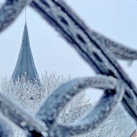 Калининград. Кафедральный собор. :: Михаил Свиденцов