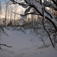 природа :: סּﮗRuslan HAIBIKE Sevastyanovסּﮗסּ