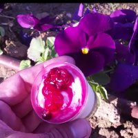 115 (84) :: CLOSE WAYS ALL