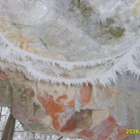 Паутина в инее :: fogmeadowww m