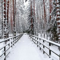 Перспектива. :: Милешкин Владимир Алексеевич 