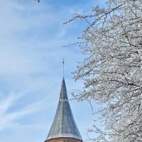 Калининград. Остров Канта. Кафедральный собор. :: Михаил Свиденцов Калининград. Остров Канта. Кафедральный собор. :: Михаил Свиденцов