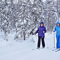Декабрь...В заснеженном лесу на лыжах! :: Владимир 