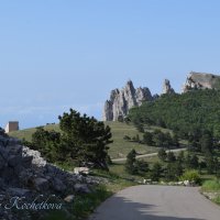 Природа Крыма :: Amazing Cosmea