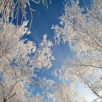 Морозное утро конца января... :: Андрей Заломленков