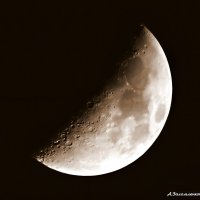 Светит месяц, но не греет... :: Андрей Заломленков Светит месяц, но не греет... :: Андрей Заломленков