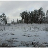 *** :: Aleksandr Gal