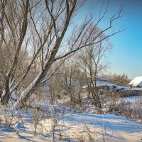 "Мороз и солнце. День хороший"© :: Владимир Макаров