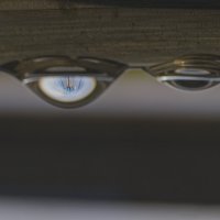 Обратная сторона поручня :: Giant Tao /