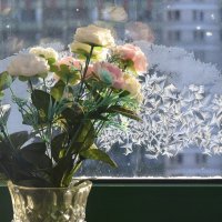 Рождественские звёзды :: Стальбаум Юрий 