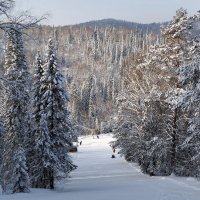 Вид сверху лучше!!! :: Радмир Арсеньев
