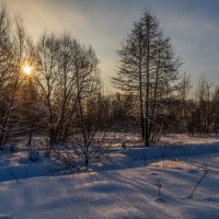 Морозное утро 2 :: Андрей Дворников