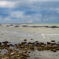 Каспий :: Анатолий Чикчирный