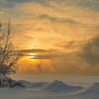 **** :: Алексей Мезенцев **** :: Алексей Мезенцев