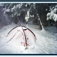 Засыпало :: Владимир Кроливец