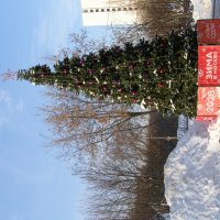 Праздник продолжается :) :: Анна Воробьева