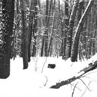 Из прошлого :: Сергей Хрущёв Из прошлого :: Сергей Хрущёв