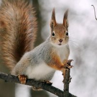 ВЫ КО МНЕ? :: ZNatasha -