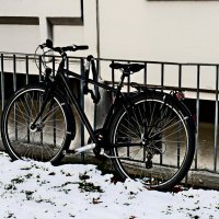 Южная зима - 18 :: Алексей Кузнецов