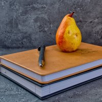 (°-°) :: Jakob Dick