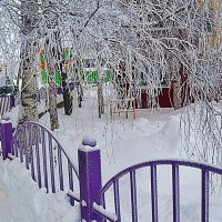 Январь.Снежное утро курьера! :: Владимир 