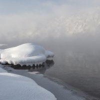 Снежная черепашка :: Марина Фомина.