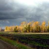 По земле гуляла осень. Краше этой нет поры… :: nadyasilyuk Вознюк По земле гуляла осень. Краше этой нет поры… :: nadyasilyuk Вознюк