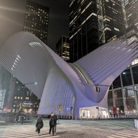 Рёбра :: Мария Делла