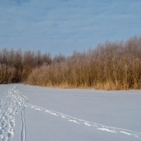 По снежной целине :: Владимир Жуков По снежной целине :: Владимир Жуков