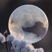 Пузырь :: Андрей Пристяжнюк