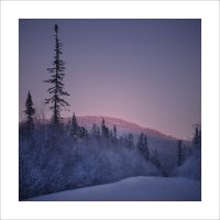 * :: Александр Иванов