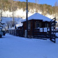 Мараловодческое хозяйство - Дарует силы самой природы :: Татьяна Лютаева